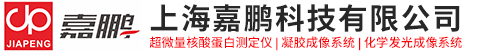 上海嘉鵬